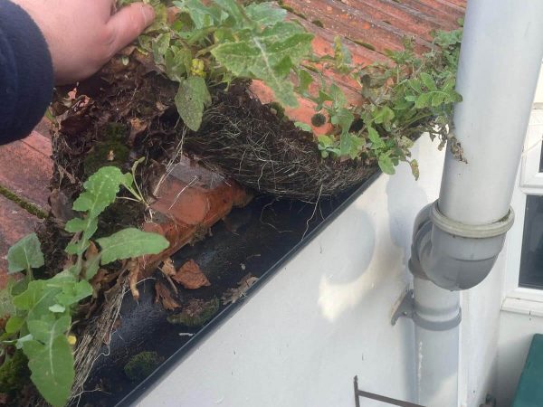 Gutter Cleaning