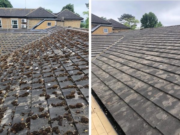 Roof Cleaning