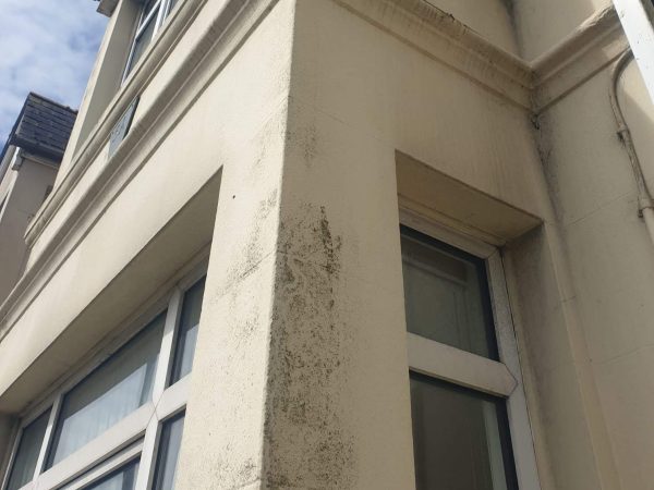 Wall Cleaning