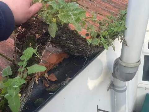 Gutter cleaning on gutters on an Enniscorthy roofline