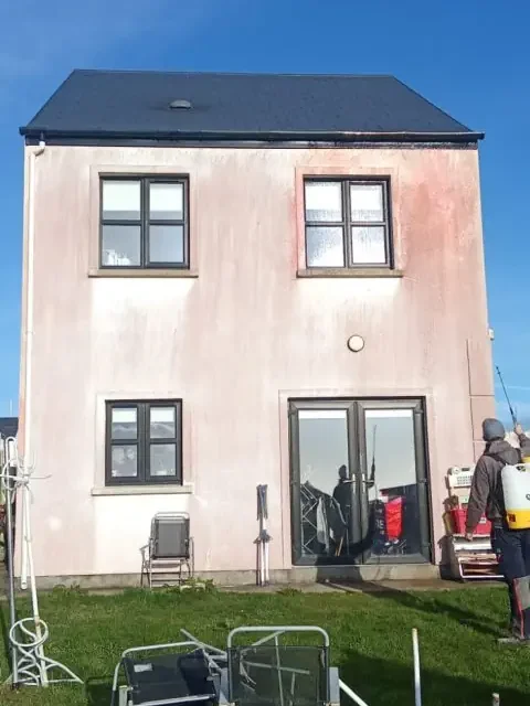 Exterior walls with red algae being treated before power washing