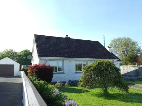 Before image of a Wexford roof to be steam cleaned