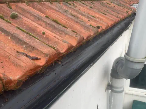 Gutter in Wexford after being professionally cleaned